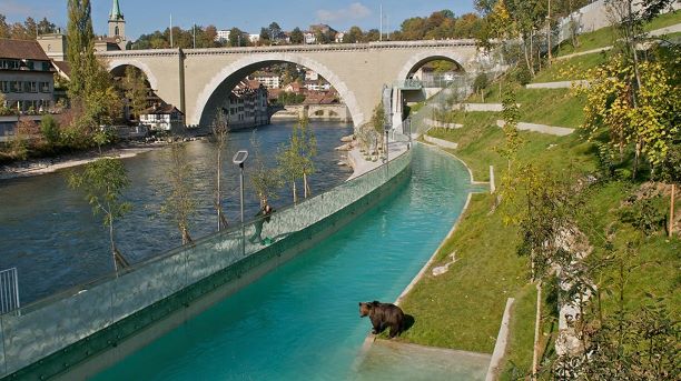 Picture of the bear park with a brown bear in front and a bridge in the back.